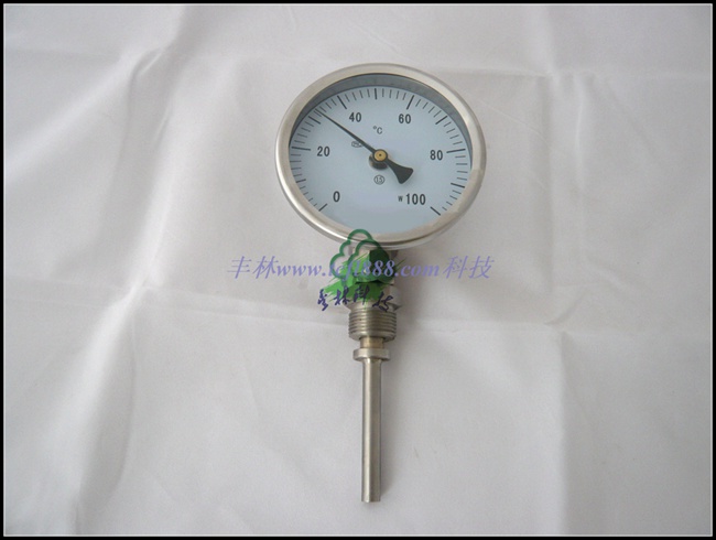 WSSϵ��˫�����¶ȼ�