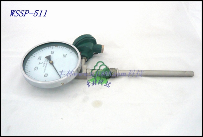 Զ��һ�廯˫�����¶ȼ�